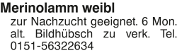 Vorschaubild der Anzeige, (Id: 1961357)