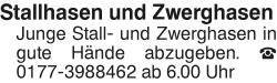 Vorschaubild der Anzeige, (Id: 1961363)