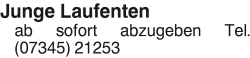 Vorschaubild der Anzeige, (Id: 1961315)