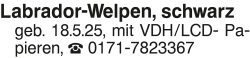 Vorschaubild der Anzeige, (Id: 1965972)