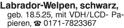 Vorschaubild der Anzeige, (Id: 1965984)