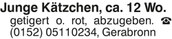 Vorschaubild der Anzeige, (Id: 1966697)
