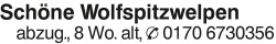 Vorschaubild der Anzeige, (Id: 1966700)