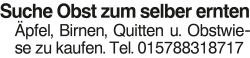 Vorschaubild der Anzeige, (Id: 1971492)