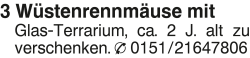 Vorschaubild der Anzeige, (Id: 1972635)