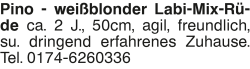 Vorschaubild der Anzeige, (Id: 1977443)