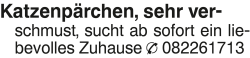 Vorschaubild der Anzeige, (Id: 1983079)