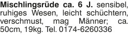 Vorschaubild der Anzeige, (Id: 1985171)