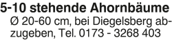Vorschaubild der Anzeige, (Id: 1984886)