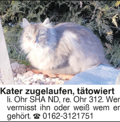 Vorschaubild der Anzeige, (Id: 2007778)