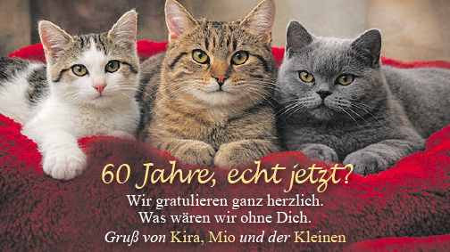 Vorschaubild der Anzeige, (Id: 2013518)