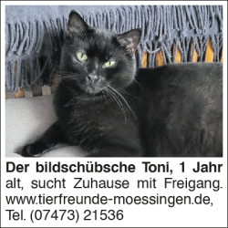 Vorschaubild der Anzeige, (Id: 2007740)