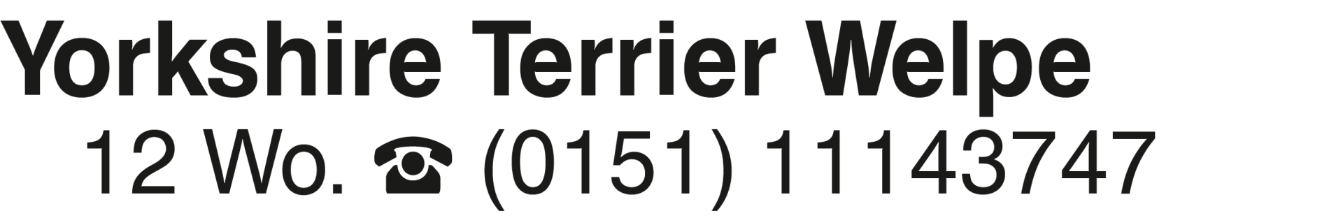 Vorschaubild der Anzeige, (Id: 2007806)