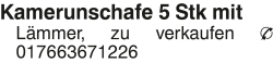 Vorschaubild der Anzeige, (Id: 2034612)
