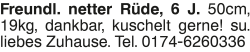Vorschaubild der Anzeige, (Id: 2034611)