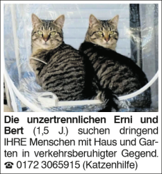 Vorschaubild der Anzeige, (Id: 2050753)