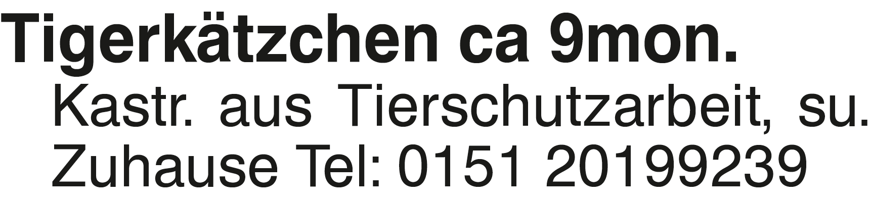 Vorschaubild der Anzeige, (Id: 2053209)