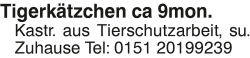 Vorschaubild der Anzeige, (Id: 2053209)