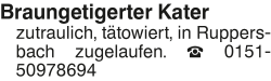 Vorschaubild der Anzeige, (Id: 2053211)