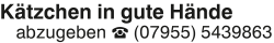 Vorschaubild der Anzeige, (Id: 2075130)