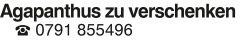 Vorschaubild der Anzeige, (Id: 2077933)