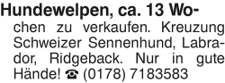 Vorschaubild der Anzeige, (Id: 2081759)