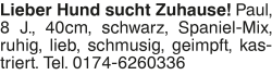 Vorschaubild der Anzeige, (Id: 2081731)
