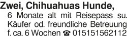 Vorschaubild der Anzeige, (Id: 1960388)