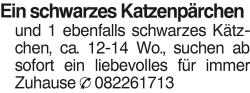 Vorschaubild der Anzeige, (Id: 1973553)