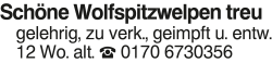 Vorschaubild der Anzeige, (Id: 1975561)