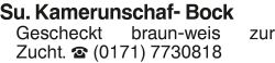 Vorschaubild der Anzeige, (Id: 1975596)