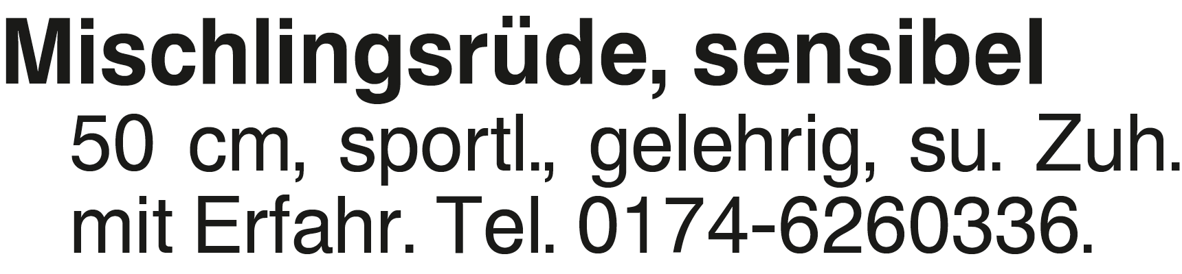 Vorschaubild der Anzeige, (Id: 1992606)