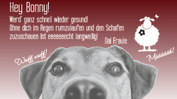 Vorschaubild der Anzeige, (Id: 1992301)