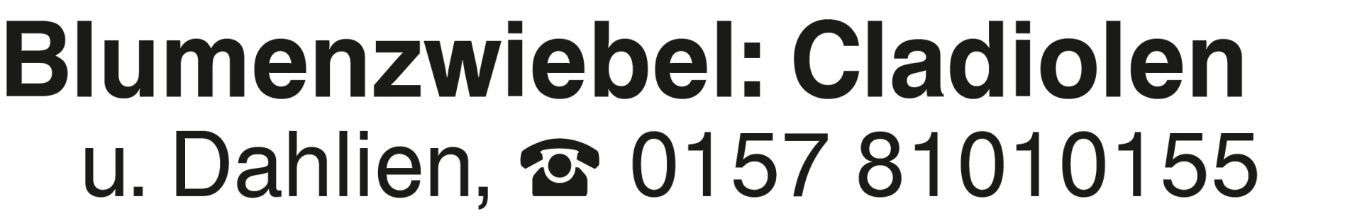 Vorschaubild der Anzeige, (Id: 2016187)