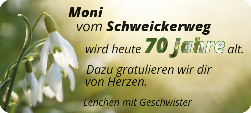 Vorschaubild der Anzeige, (Id: 2018277)