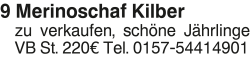 Vorschaubild der Anzeige, (Id: 2030555)