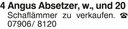Vorschaubild der Anzeige, (Id: 2030881)