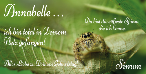 Vorschaubild der Anzeige, (Id: 2032534)