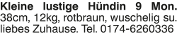 Vorschaubild der Anzeige, (Id: 2041966)