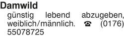 Vorschaubild der Anzeige, (Id: 2048764)