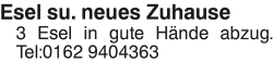 Vorschaubild der Anzeige, (Id: 2048792)