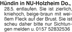 Vorschaubild der Anzeige, (Id: 2047255)