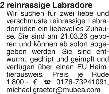 Vorschaubild der Anzeige, (Id: 2055288)
