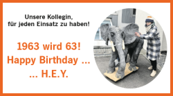 Vorschaubild der Anzeige, (Id: 2060506)