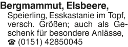 Vorschaubild der Anzeige, (Id: 2068678)