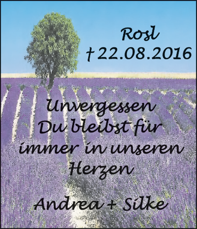 Vorschaubild der Anzeige, (Id: 2069369)