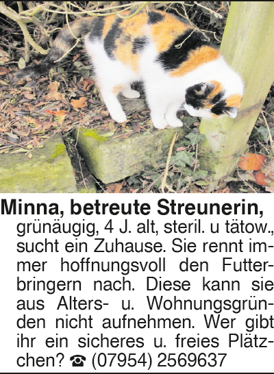 Vorschaubild der Anzeige, (Id: 2071896)