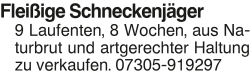 Vorschaubild der Anzeige, (Id: 2073703)