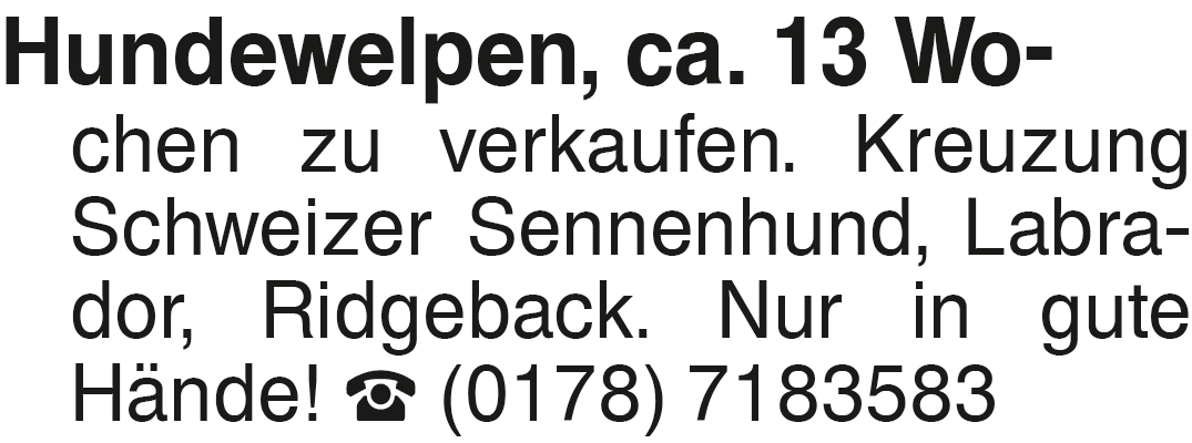 Vorschaubild der Anzeige, (Id: 2081759)