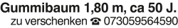 Vorschaubild der Anzeige, (Id: 2083899)